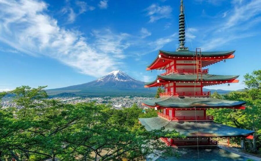 From Tokyo : Mt Fuji Private Sightseeing Tour