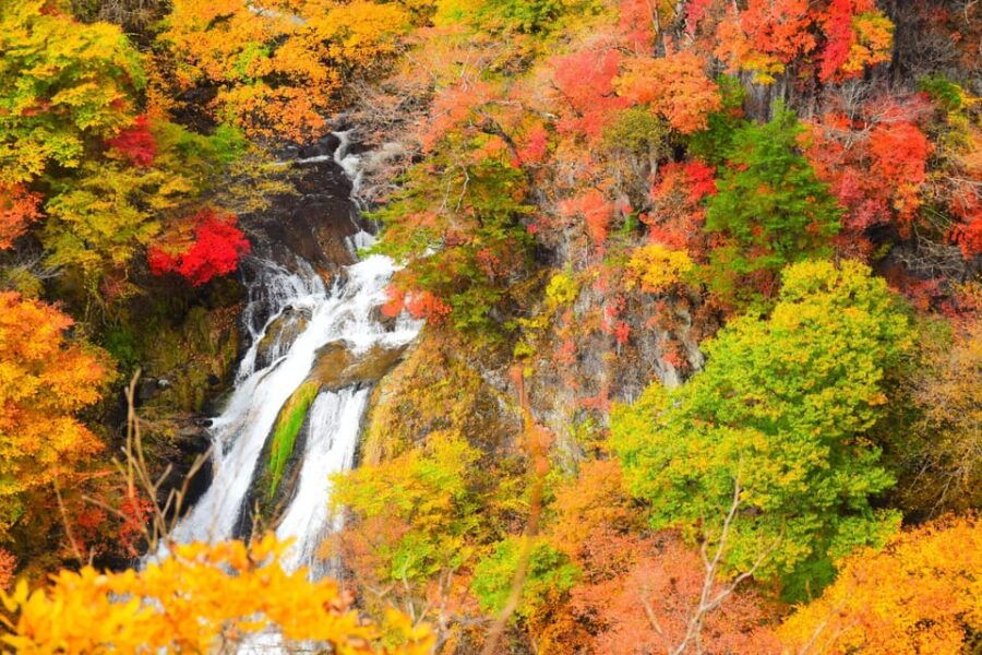 From Tokyo: Nikko One Day Private Tour With English Driver - Tour Overview and Pricing