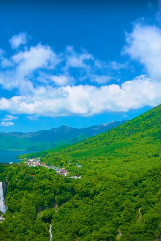 From Tokyo: Nikko Private Sightseeing Tour With Transfers