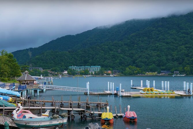 From Tokyo Nikko Sightseeing Private Day Tour of UNESCO Heritage