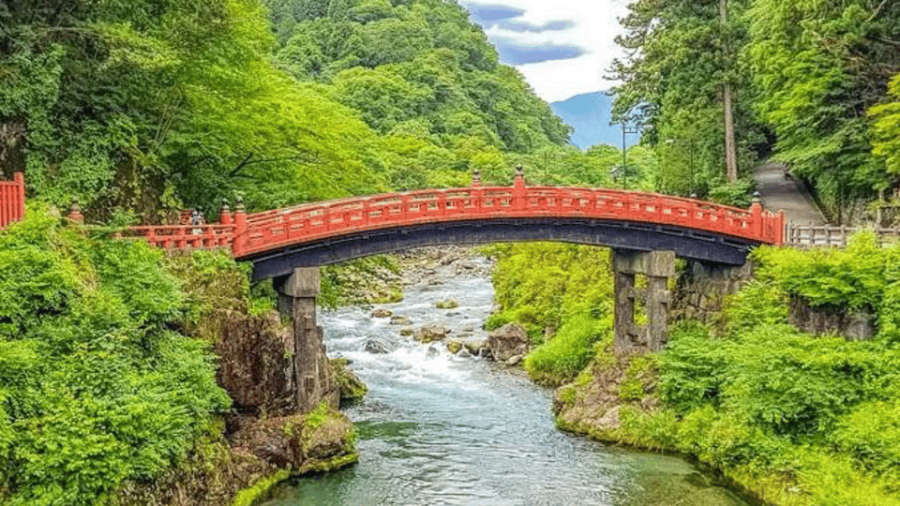 From Tokyo: Niko Full Day Private Tour With English Chauffer - Tour Overview and Pricing