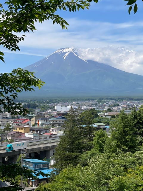 From Tokyo: Private Mt. Fuji Tour With Guide
