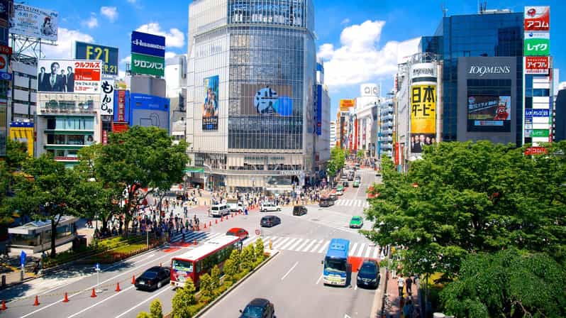 From Tokyo Private Tour With English Speaking Driver - Tour Overview and Pricing