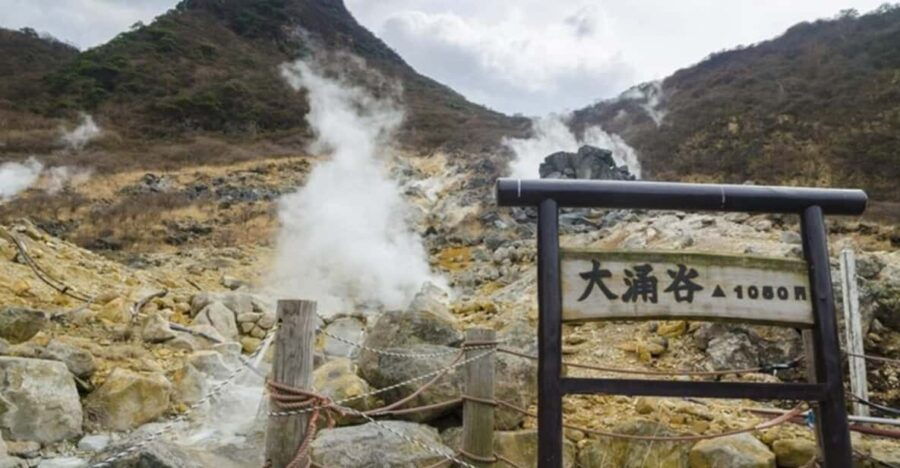 From Tokyo to Mt.Fuji ,Hakone to Anywhere in Japan