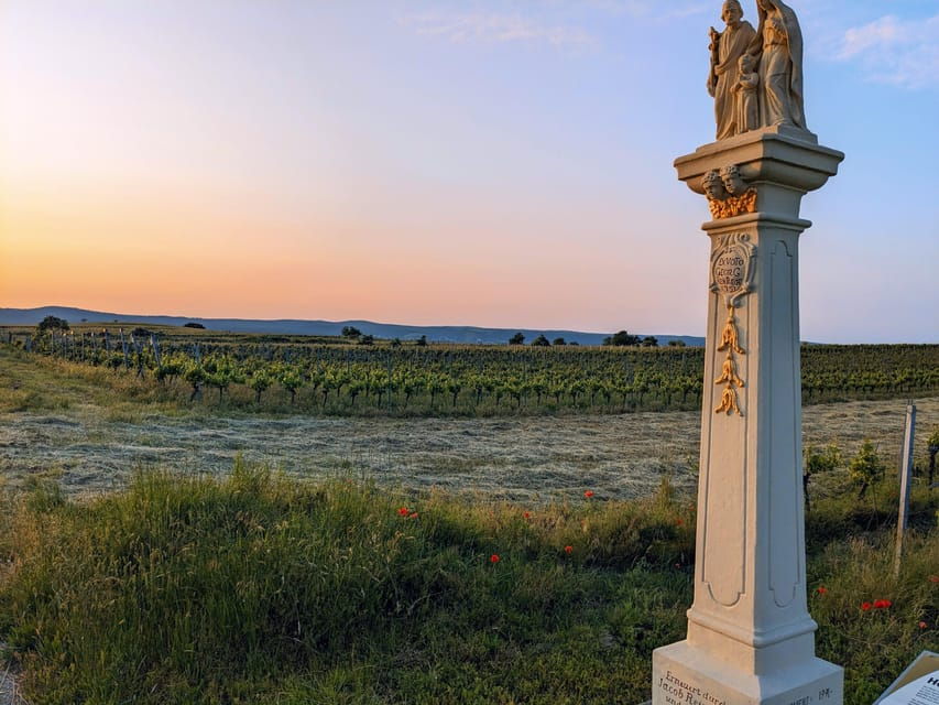 From Vienna: Burgenland Bike and Wine Tasting Tour