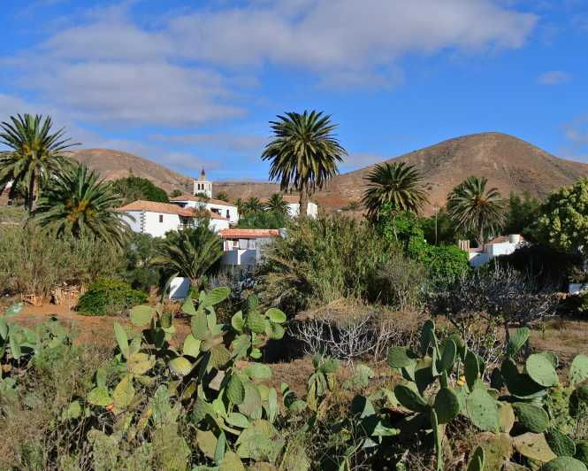 Fuerteventura: Best Spot Island Tour