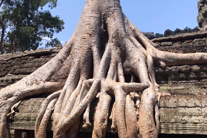 Full-5Day Private Explore Angkor Temples Preah Vihear Battambang
