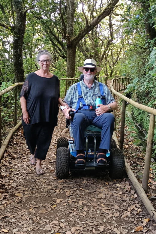 Full Accessible Levada - Tour Overview