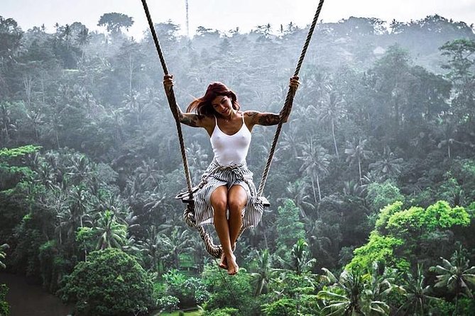 Full Day: Bali Swing and Waterfall Tour. - Inclusions