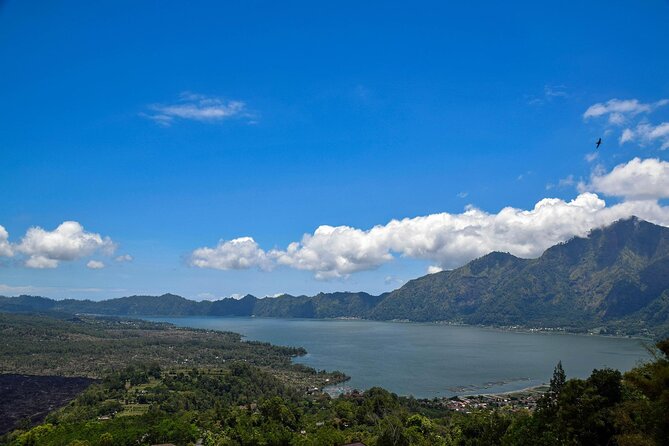 Full Day Group Tour Bali Great Introduction With Lunch - Tour Itinerary Highlights