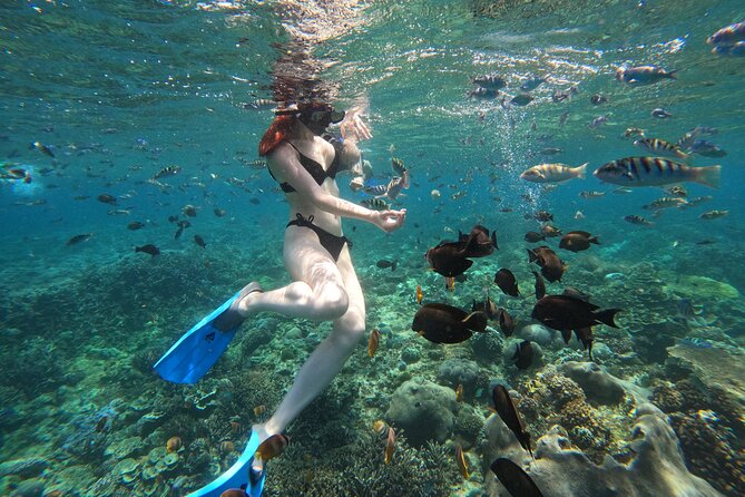 Full Day Manta Tour in Nusa Penida and Nusa Lembongan From Bali - Inclusions and Exclusions