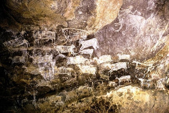 Full-Day Private Tour From Bhopal to Bhojpur and Bhimbetka