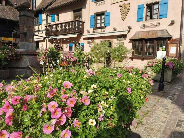 Full Day Safari Tour Villages & Vineyards Wine Tasting - Tour Overview