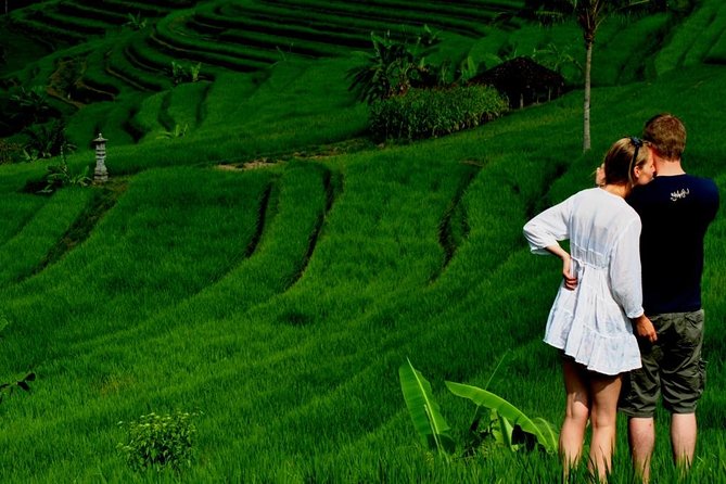 Full Day Wonders of Bali Private Tour With Pickup and Lunch - Tour Overview