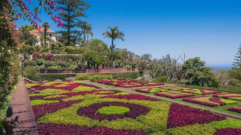 Funchal: Botanical Garden Tour and Guided Tuk-Tuk Ride