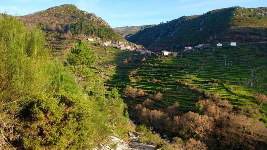 Gerias in a Sustainable Way