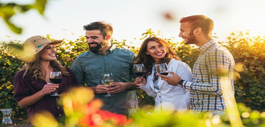 German Wine Tasting Tour at the Best Wine Bars in Berlin - Overview of the Tour