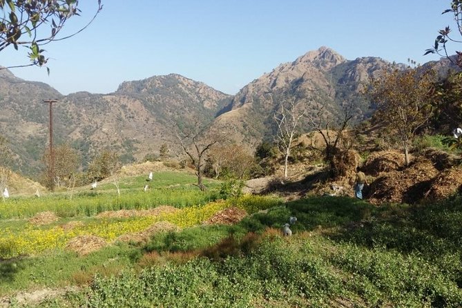 Ginger Valley Village Trek - Included Services