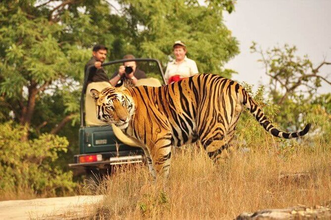 Golden Triangle Tour With Ranthambore (5 Star Hotel)
