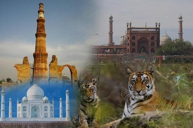 Golden Triangle Tour With Wildlife / Taj & Tiger