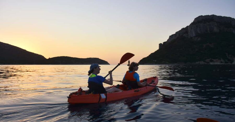 Golfo Aranci: Sunrise Dolphin Kayak Tour With Breakfast