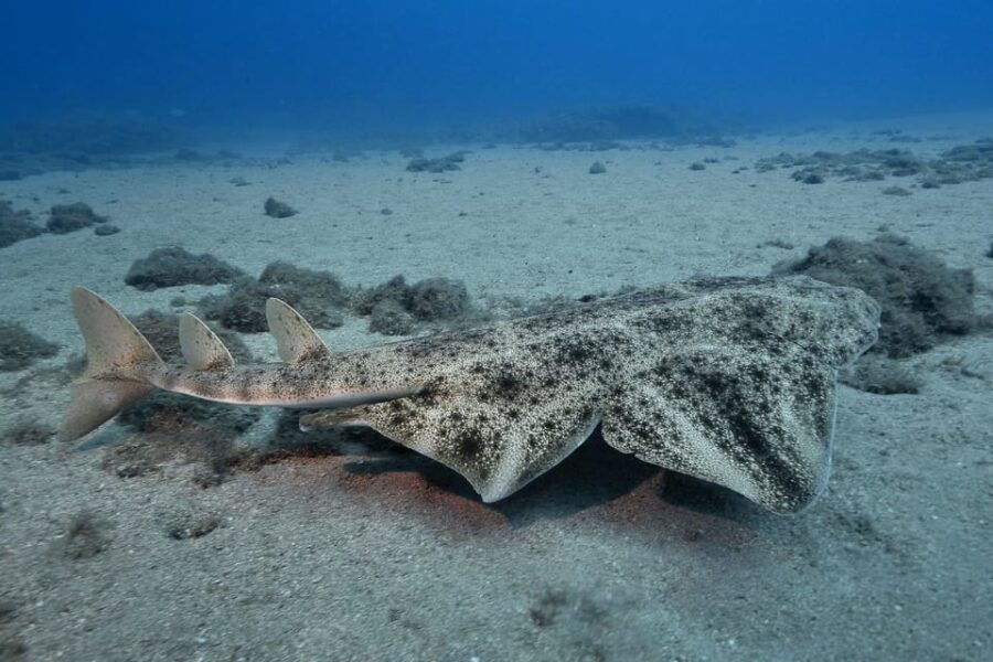 Gran Canaria: 3-Day Open Water Diver Course - Course Overview