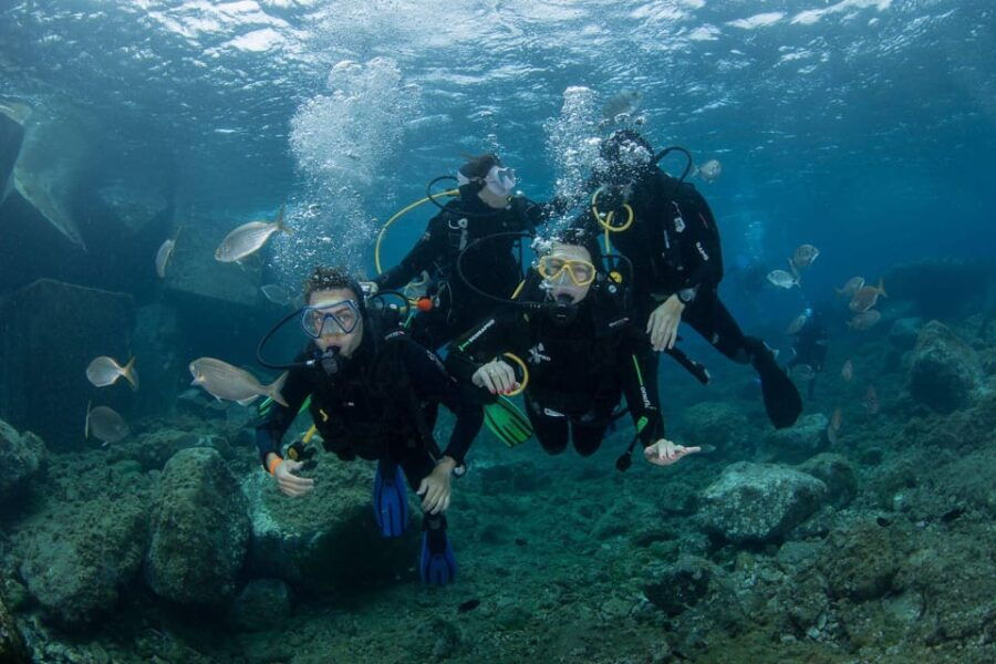 Gran Canaria: Discover Scuba Diving Beginner Program - Program Overview and Pricing