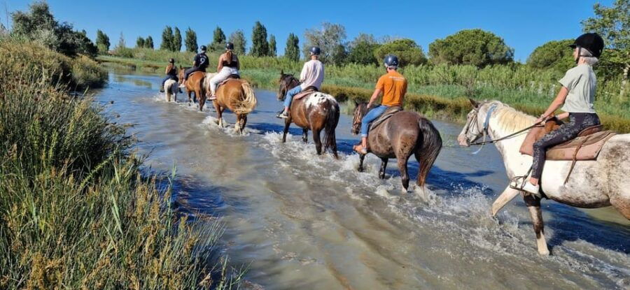 Grau Du Roi: Horseback Riding in the Camargue