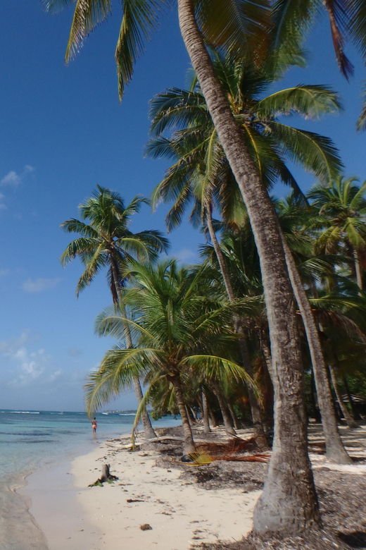 Guadeloupe: Airport Transfers & Private Drivers at Disposal - Private Driver Services