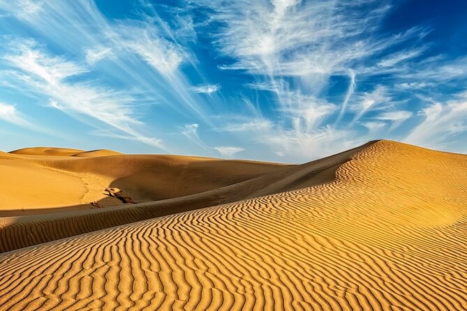 Guided Jaisalmer City Tour With Drop Off at Udaipur
