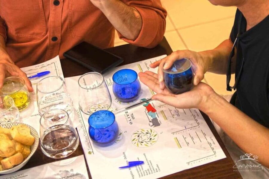 Guided Tasting of 3 Extra Virgin Olive Oils at Dafnes - Experience Overview