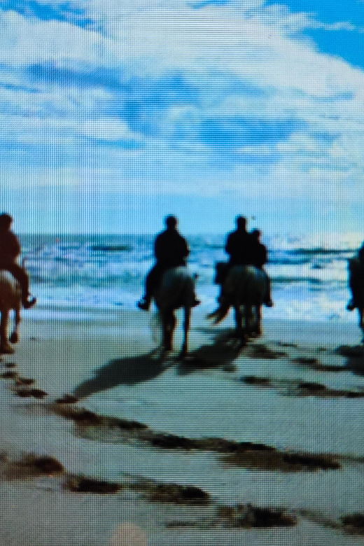 GUIDED TOURS CAMARGUE GETAWAY