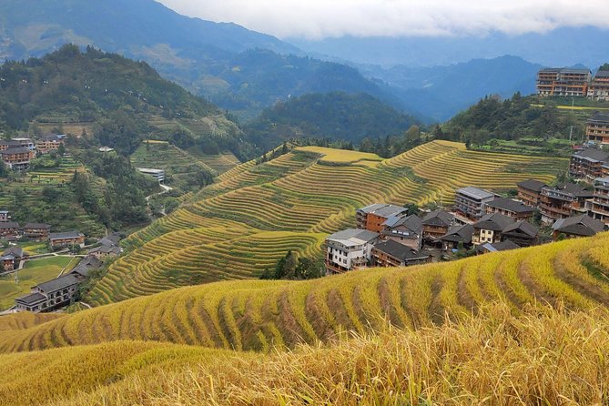 Guilin Tea Plantation and Longji Rice Terraces Day Tour From Guilin Hotel