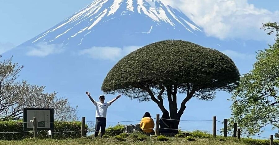 Hakone Hachiri: Old Tokaido Highway Hiking Tour - Tour Overview