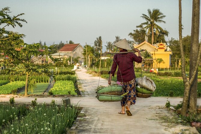 Half Day Cycling in the Hoi An Countryside - Tour Overview