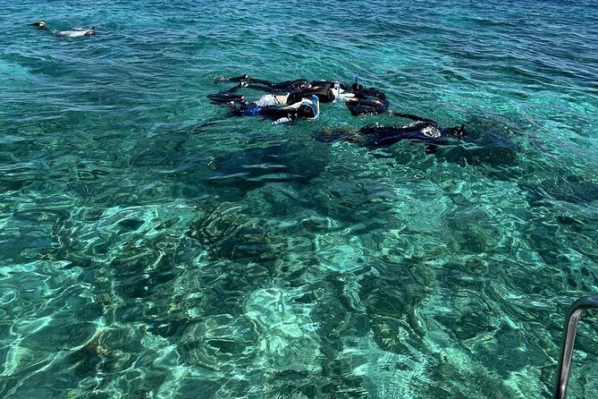 Half Day Tour With Snorkel at Sancturary and Sulpa Island - Tour Overview