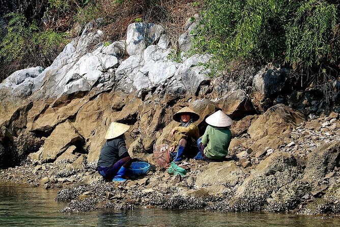 Halong Bay One Day Trip From Hanoi - Trip Inclusions