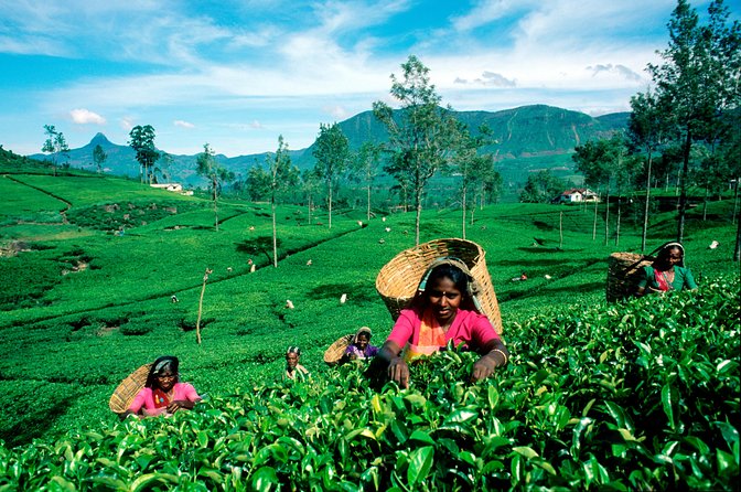 Haputale Highlands From Nuwara Eliya