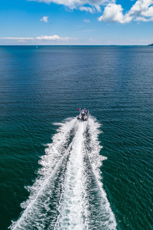 Helford: Half Day RIB Tour