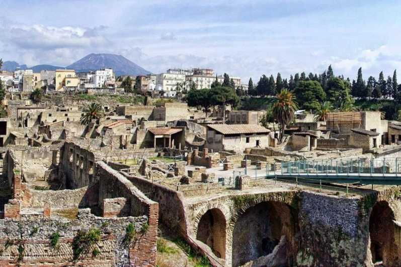 Herculaneum Private Tour From Naples - Overview of the Tour