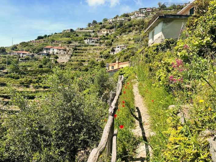 Hidden Gems of 5 Terre, Geo Trek Loop - Overview of the Trek