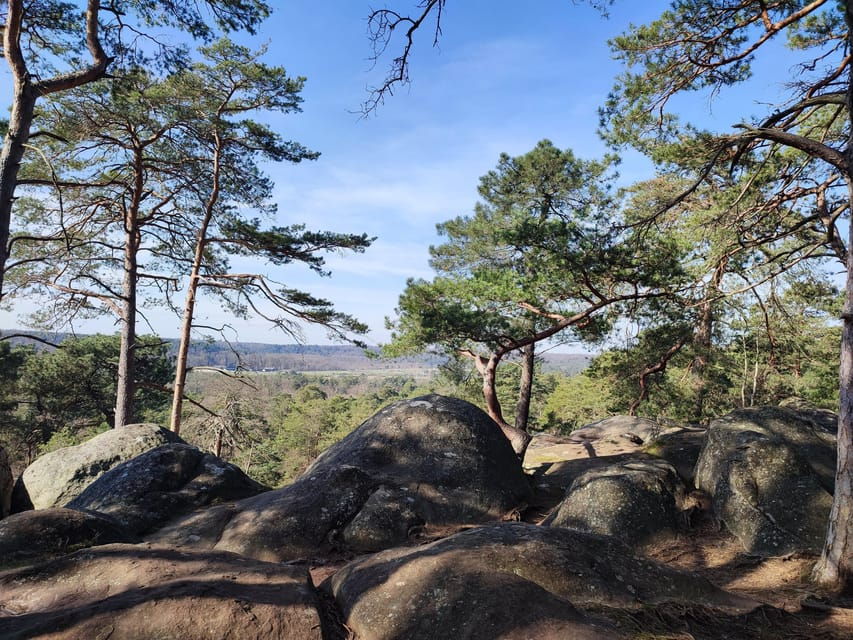 Hiking Adventure in the Fontainebleau Forest