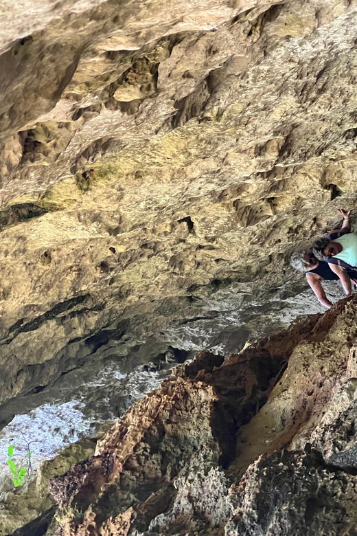 Hiking Experiences in Menorca Private Guided Half Day - Overview and Pricing