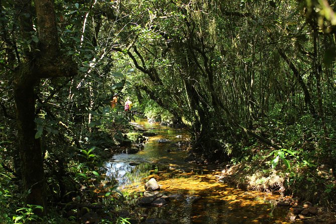 Hiking in Knuckles Range With Overnight Accommodation in a Mud Cottage