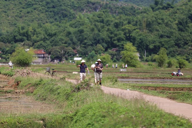 Hikking & Trekking] Tour to Mai Ha, Kha, Te, Buoc, Mai Hich Village (Full Day)