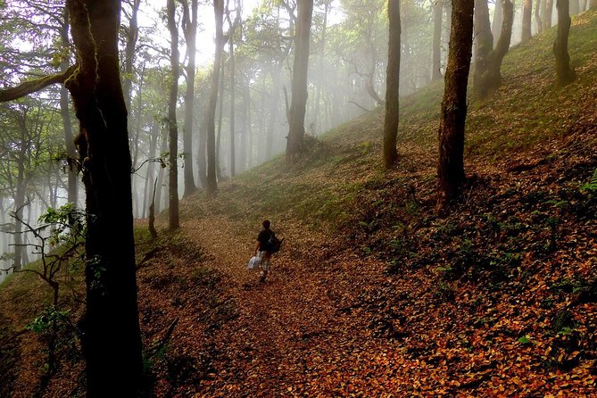 Himalaya Nag Tibba Trek Tour From Delhi