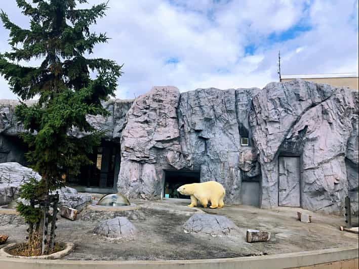 Hokkaido Asahiyama Zoo, Biei, Aoike, Elf Terrace Day Tour