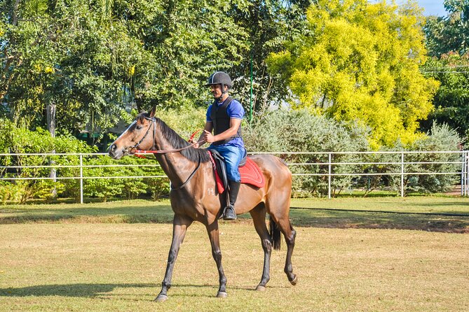 Horse Riding for Professionals From Habarana