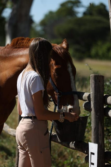 Horse Sanctuary in Rome - Overview of the Sanctuary