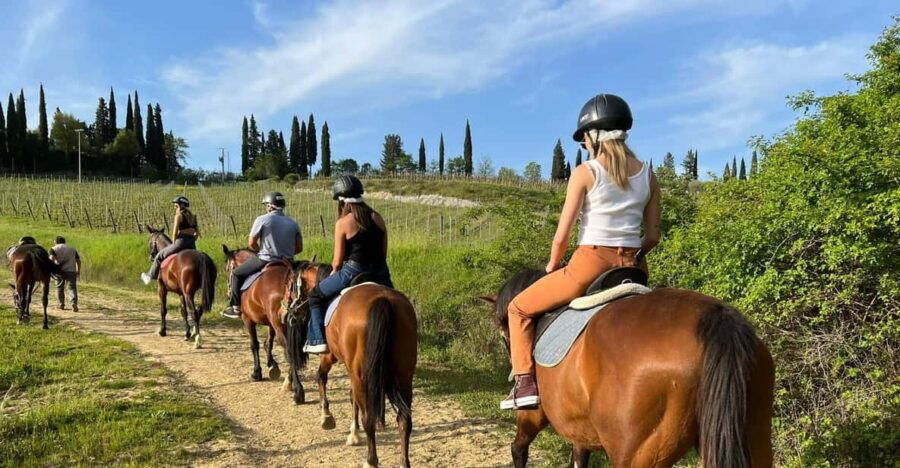 Horseback Riding With Wine Tour From Florence